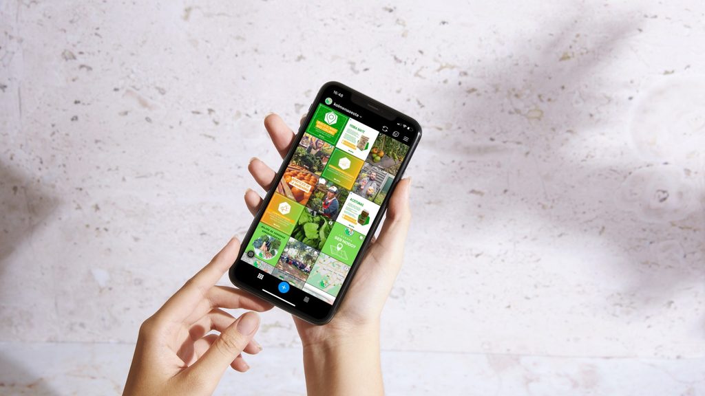 Vista del Feed de Instagram con publicaciones realizadas a partir de la propuesta de mejora